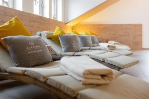 Spa and Wellness 