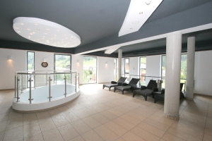 Spa and Wellness 