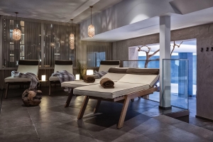 Spa and Wellness 