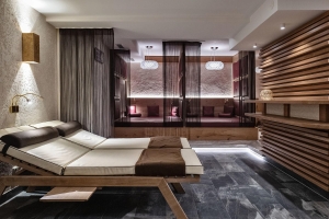 Spa and Wellness 