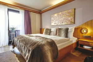Apartment and Chalet 