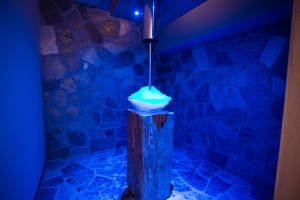 Spa and Wellness 