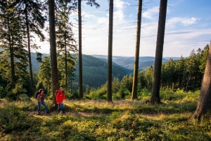 Landscape © Rothaarsteigverein e.V./Klaus-Peter Kappest